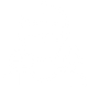 icon1 icon1